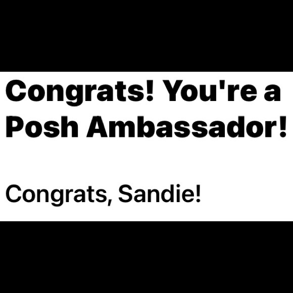 Meet your Posher, Sandie - Picture 3 of 4